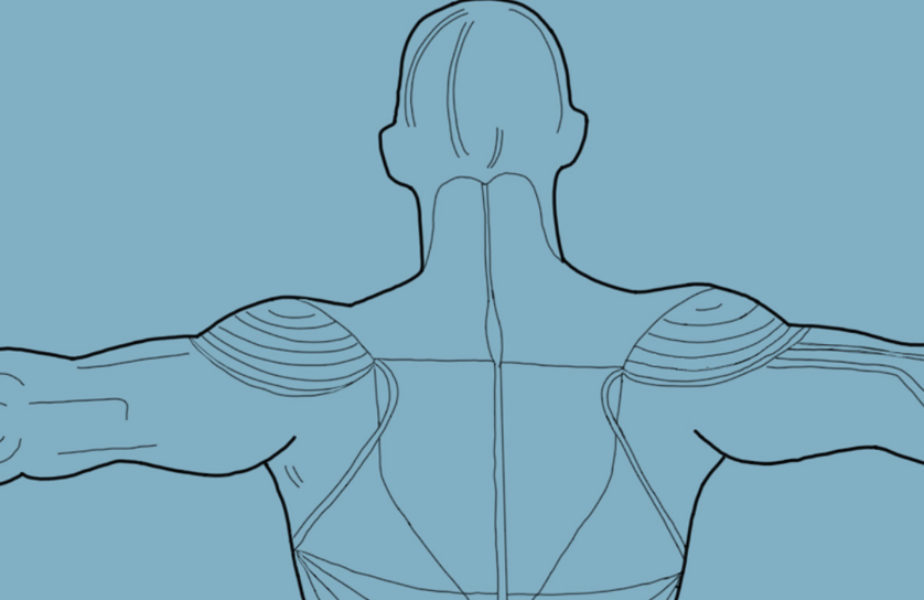 Плечевой сустав