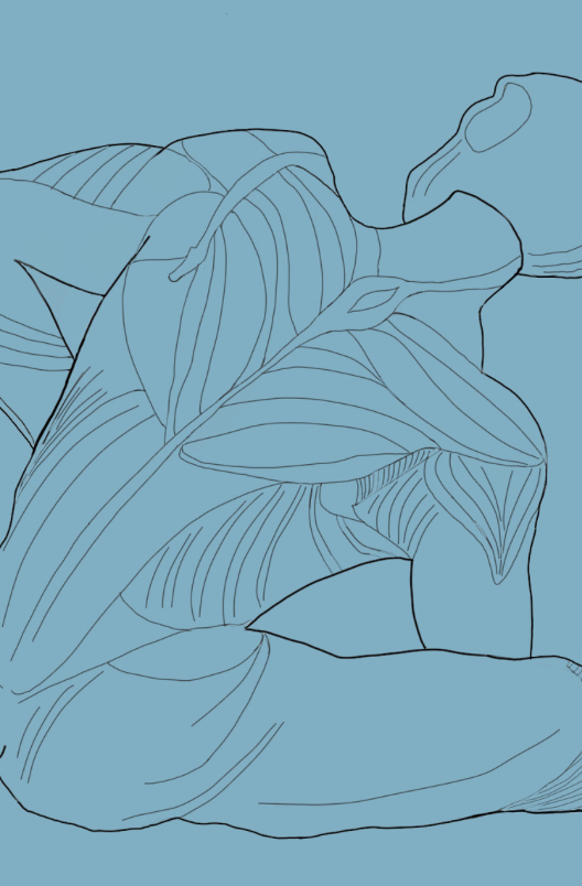 реабилитация позвоночника